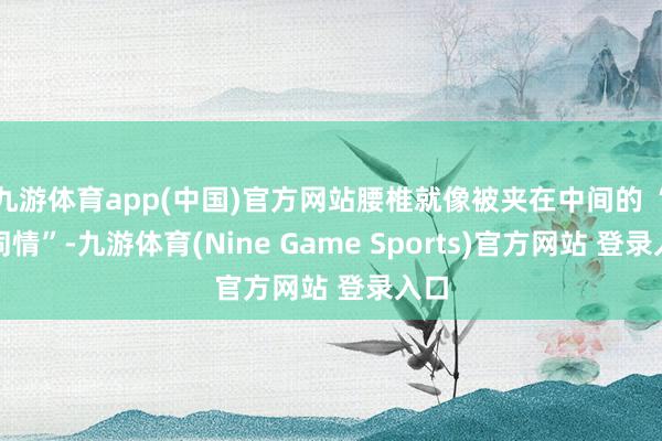九游体育app(中国)官方网站腰椎就像被夹在中间的 “小同情”-九游体育(Nine Game Sports)官方网站 登录入口
